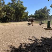 Walnut Grove Dog Park